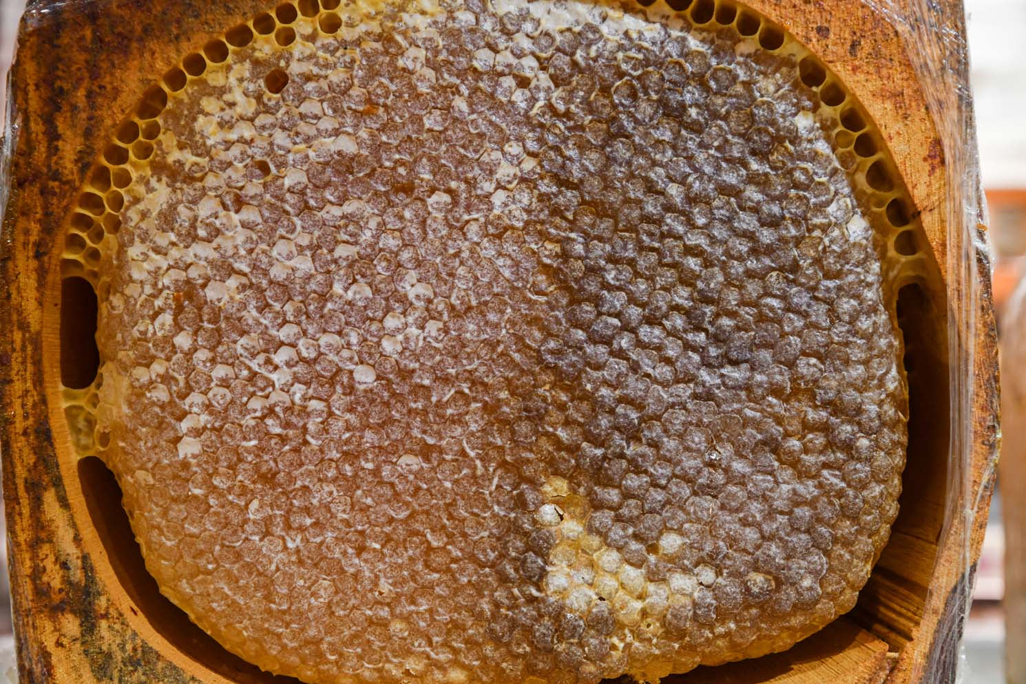 Balsev | Log Hive Karakovan Honeycomb Honey - TryAladdin