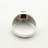 Modern Minimalist Men's Ruby Ring - TryAladdin